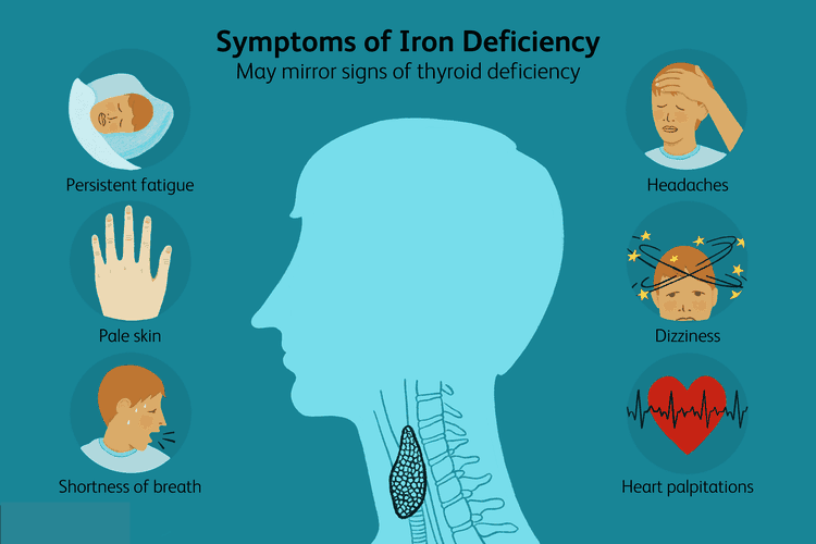 low-iron-fibroids-ablations-it-s-key-role-on-thyroid-hormones