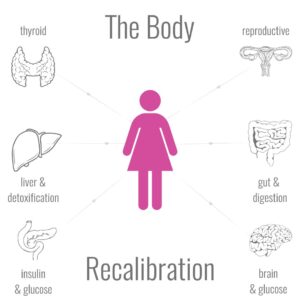 Image of Explanation of The Body Recalibration