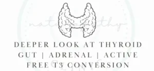 Deeper look at thyroid, gut, adrenal, active free T3 conversion
